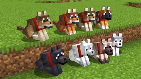 All Dogs In Minecraft