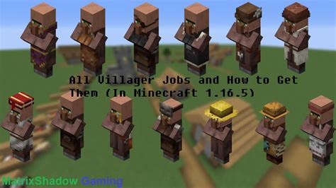 All Villager Job