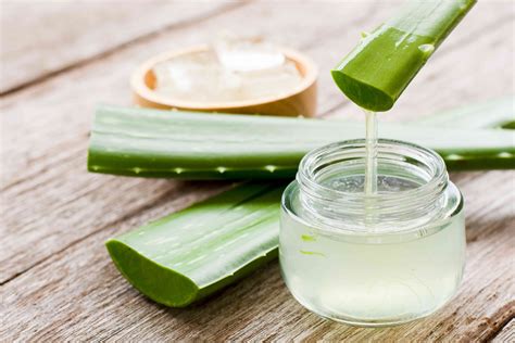 Best Aloe Vera Business Name Ideas