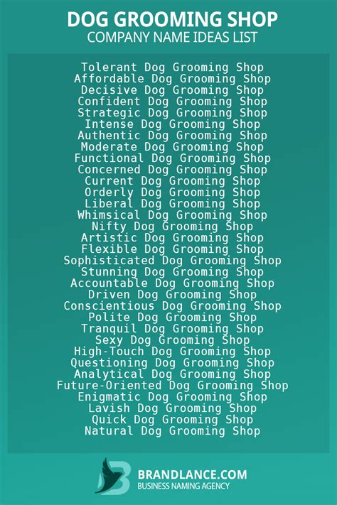 Best Business Name Ideas for Dog Grooming