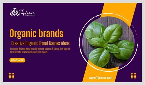 Best Business Name Ideas for Organic Products