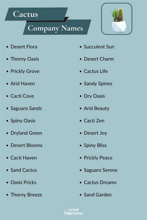 Best Cactus Business Name Ideas for Success