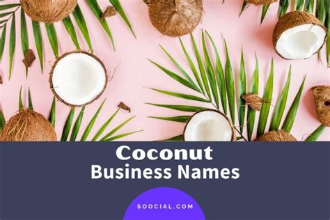 Best Coconut Business Name Inspirations