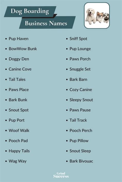 Best Dog Boarding Business Name Ideas 2023
