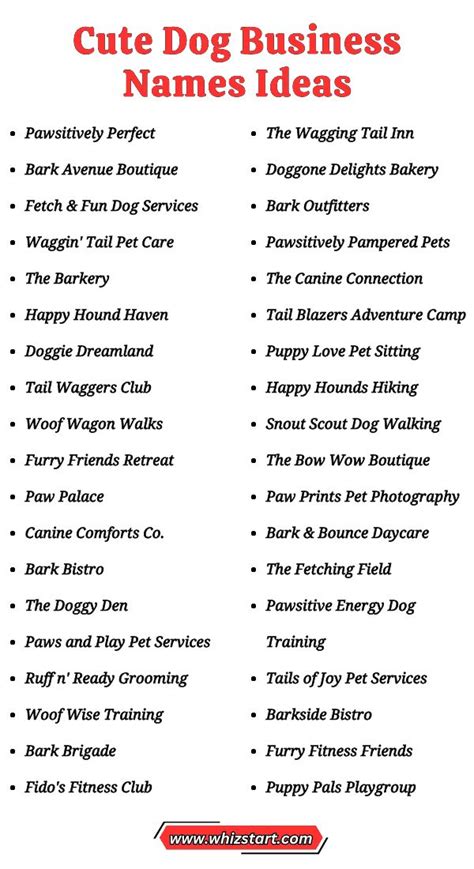 Best Dog Day Care Business Name Ideas 2023