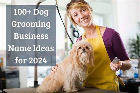 Creative Dog Groomer Business Name Ideas That Sell