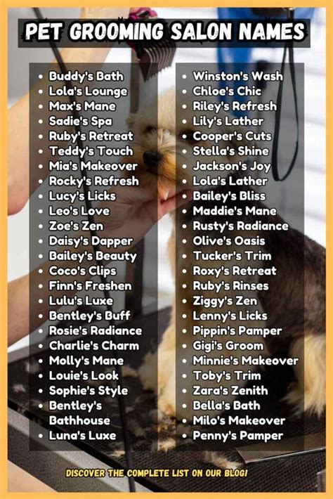 Top 50 Creative Dog Mobile Grooming Business Name Ideas You'll Love