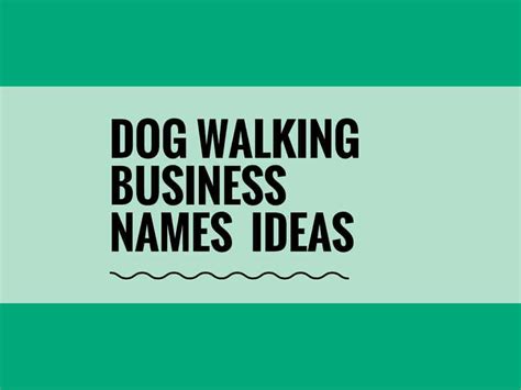 Best Dog Walker Business Name Ideas 2023