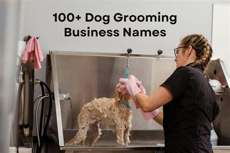 Top 10 Dog Wash Business Name Ideas