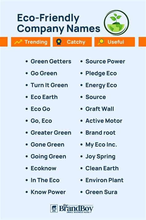 Best Eco-Friendly Business Name Ideas