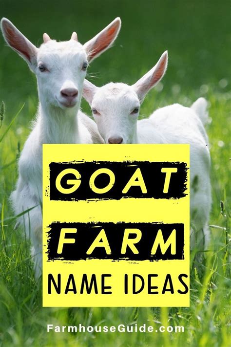 Best Goat Farming Business Name Ideas