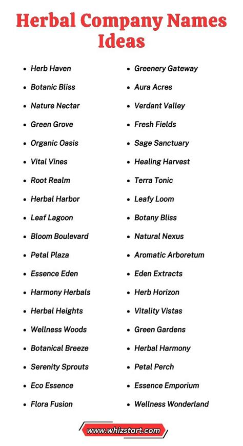 Best Herbal Remedy Business Names 2023