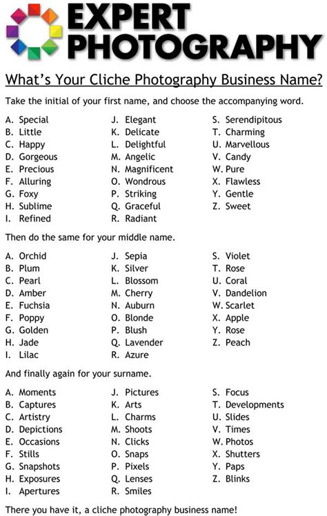 Best Horse Photography Business Name Ideas to Capture Your Heart