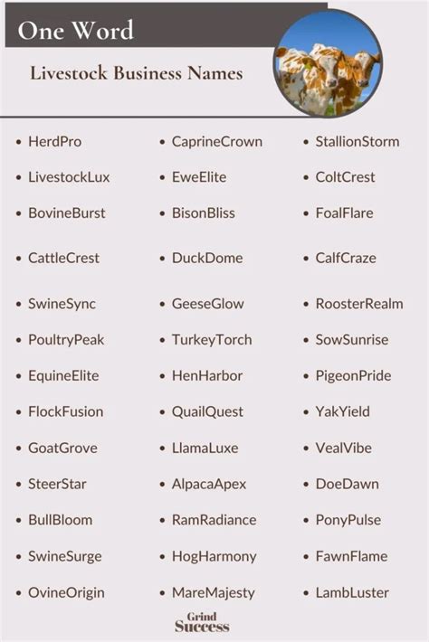 Best Livestock Business Name Ideas 2023