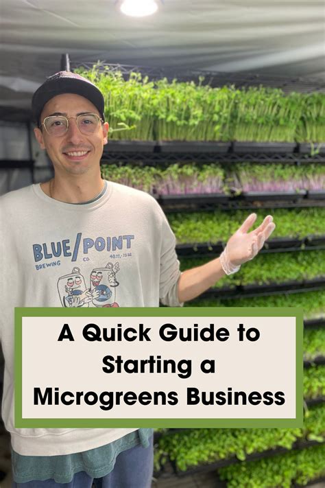 Unique Microgreens Business Name Ideas Revealed