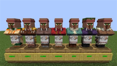Minecraft Villager Job