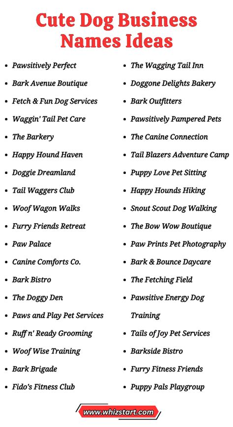 Top Pet Accessory Business Name Concepts