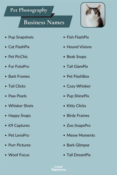 Best Pet Photography Business Name Ideas for 2023