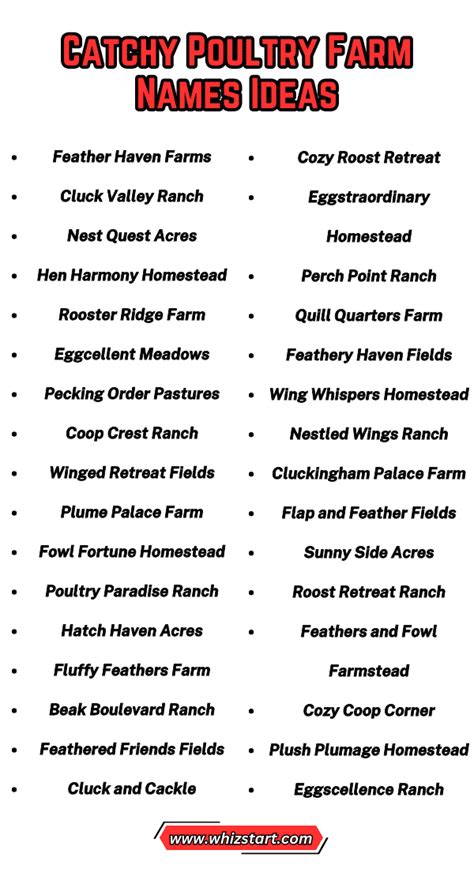 Top Poultry Farm Business Name Ideas