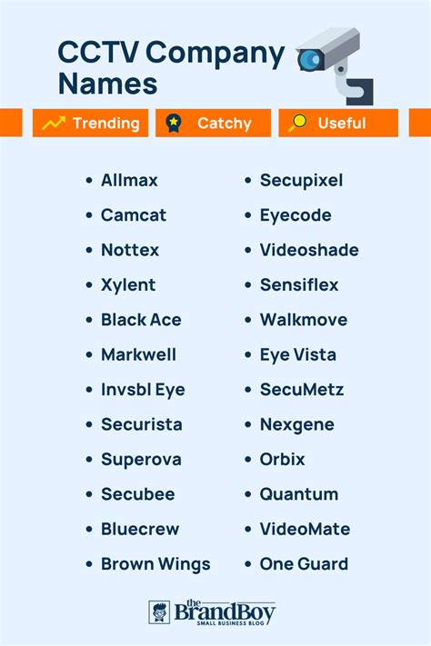 Best Security Cameras Business Name Ideas