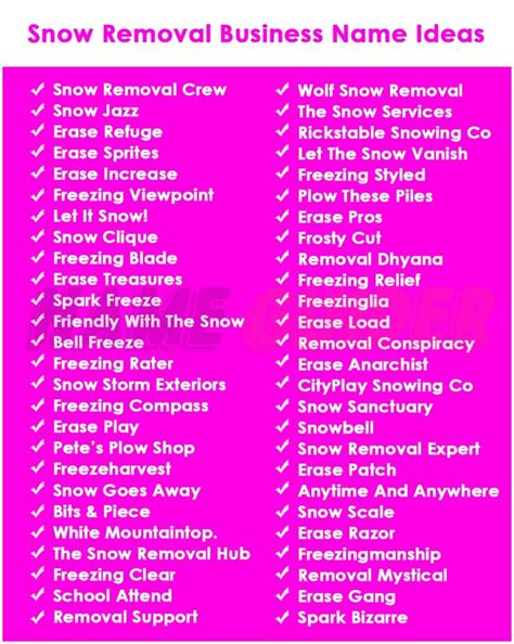 Best Snow Plowing Business Name Ideas for 2023