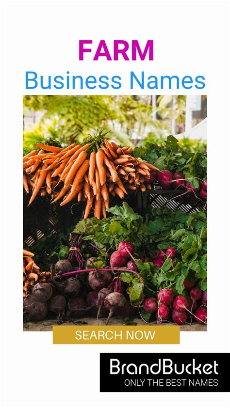 Top Worm Farming Business Name Ideas for Entrepreneurs